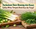 perbedaan daun bawang dan kucai
