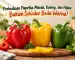 perbedaan paprika merah, kuning, dan hijau